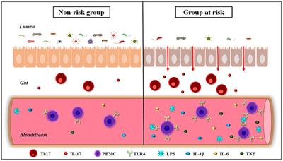 Gut Microbiota Dysbiosis Is a Crucial Player for the Poor Outcomes for COVID-19 in Elderly, Diabetic and Hypertensive Patients